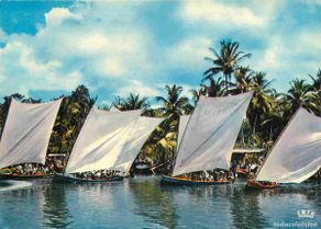 Cartoline: Martinique - Trois Ilets - Départ d'une course de gommiers - Voile - CPM - Voir Scans Recto-Verso
